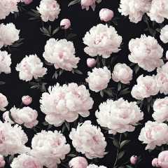 peonies002